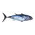Lot de 5 kg de Poisson  + 35,00€ 